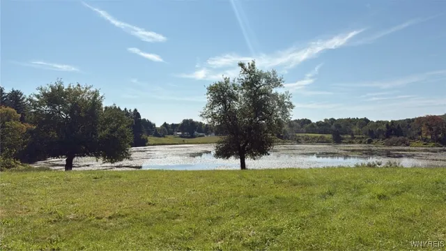 $99,999 | 3585 Roszyk Hill Road, Machias, NY 14101