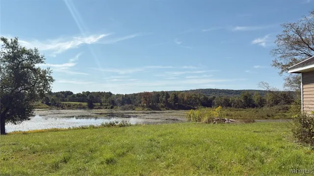 $99,999 | 3585 Roszyk Hill Road, Machias, NY 14101