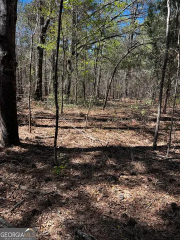 $91,900 | 2000 Buckeye Road, Tennille, GA 31089