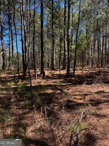 $91,900 | 2000 Buckeye Road, Tennille, GA 31089