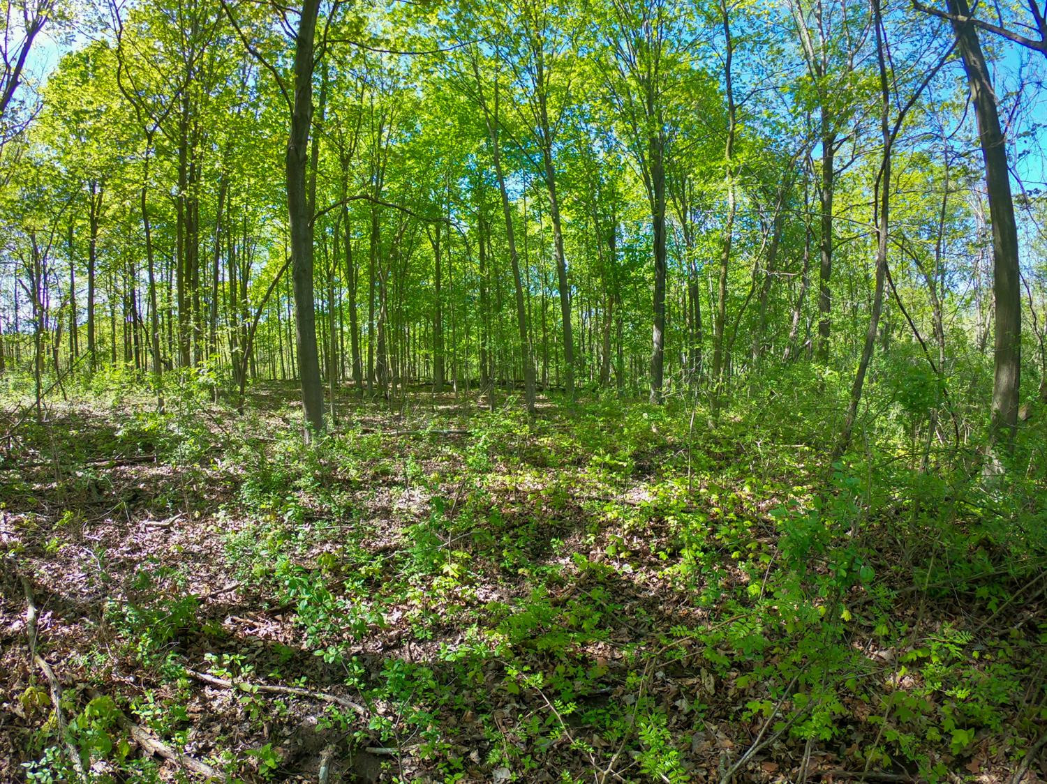 0 Gotfredson Road Ypsilanti, MI 48198 - Photo 12 of 34 Photo 12