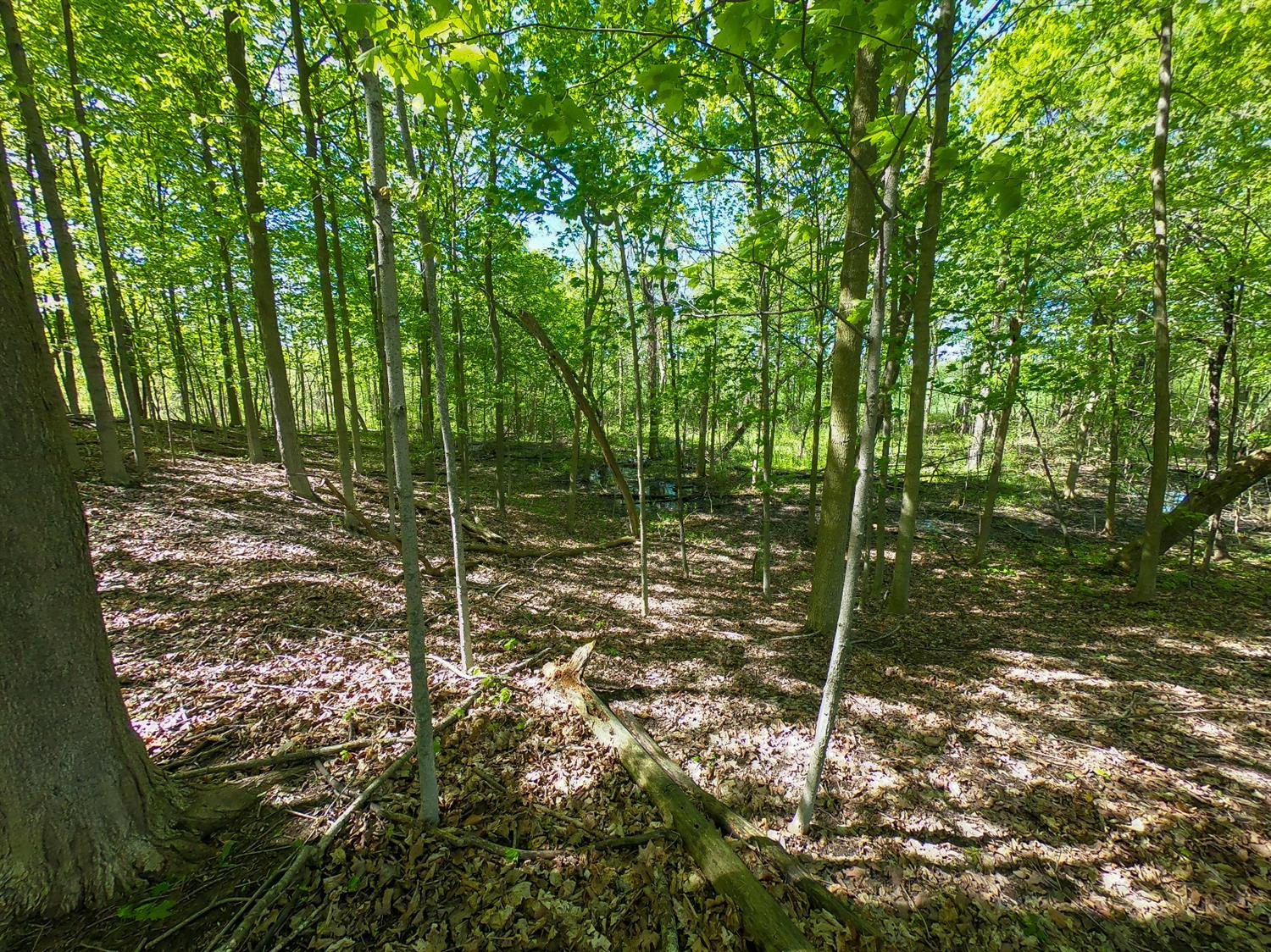 0 Gotfredson Road Ypsilanti, MI 48198 - Photo 14 of 34 Photo 14