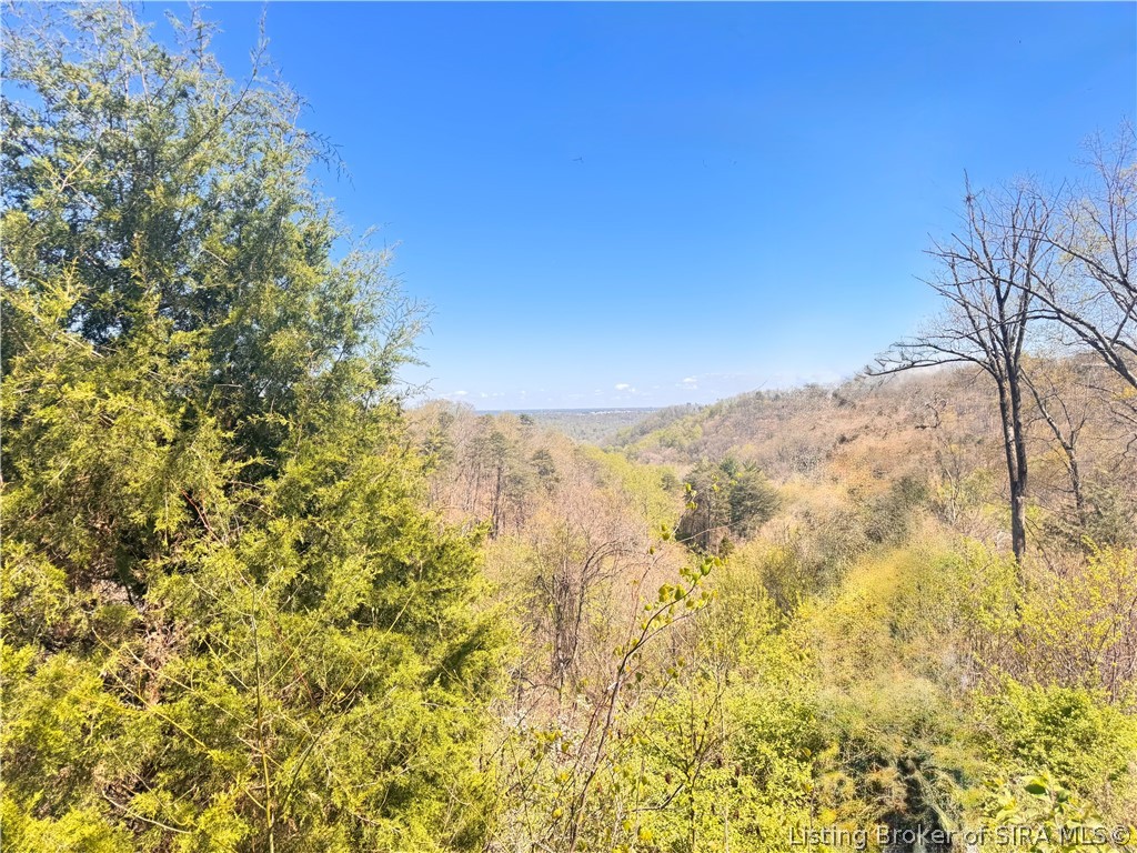 1002 Canyon Road New Albany, IN 47150 - Photo 4 of 12