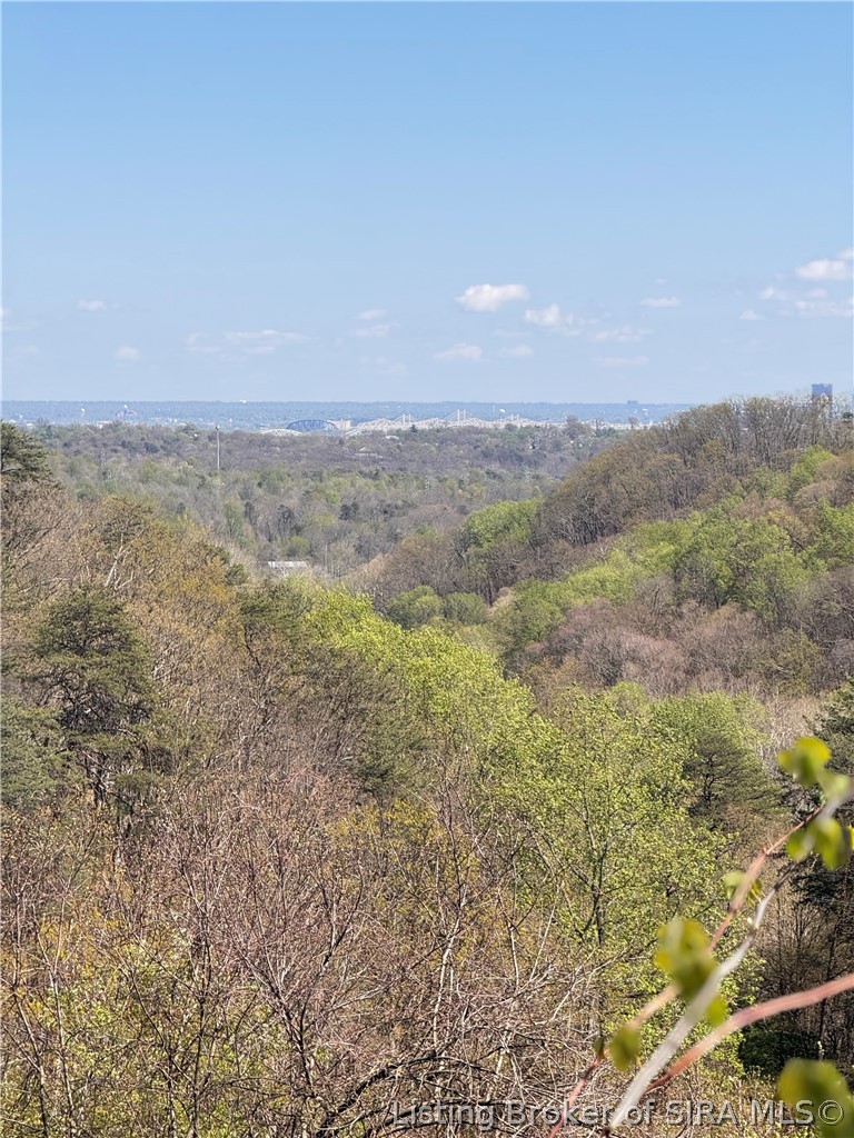 1002 Canyon Road New Albany, IN 47150 - Photo 5 of 12