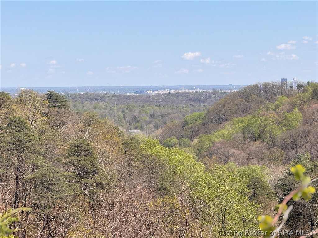 1002 Canyon Road New Albany, IN 47150 - Photo 6 of 12