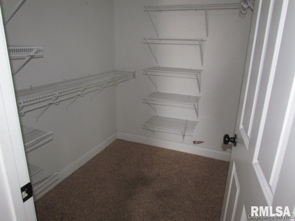 1104 Rutledge Street Pawnee, IL 62558 - Photo 18 of 25