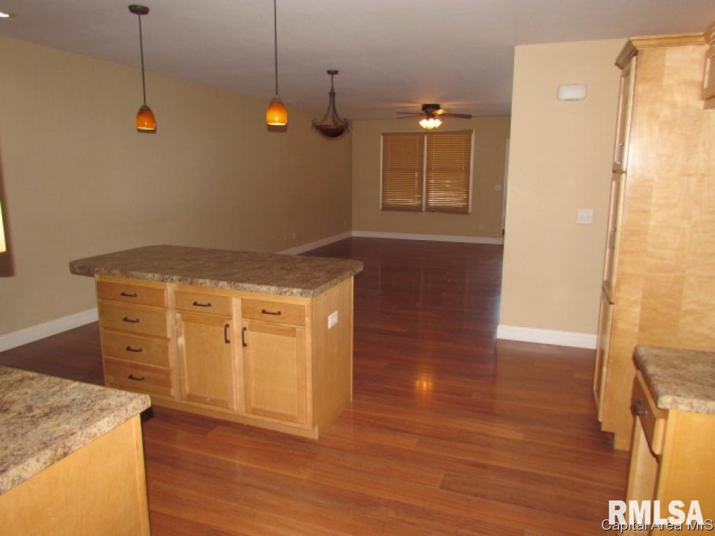 1104 Rutledge Street Pawnee, IL 62558 - Photo 7 of 25