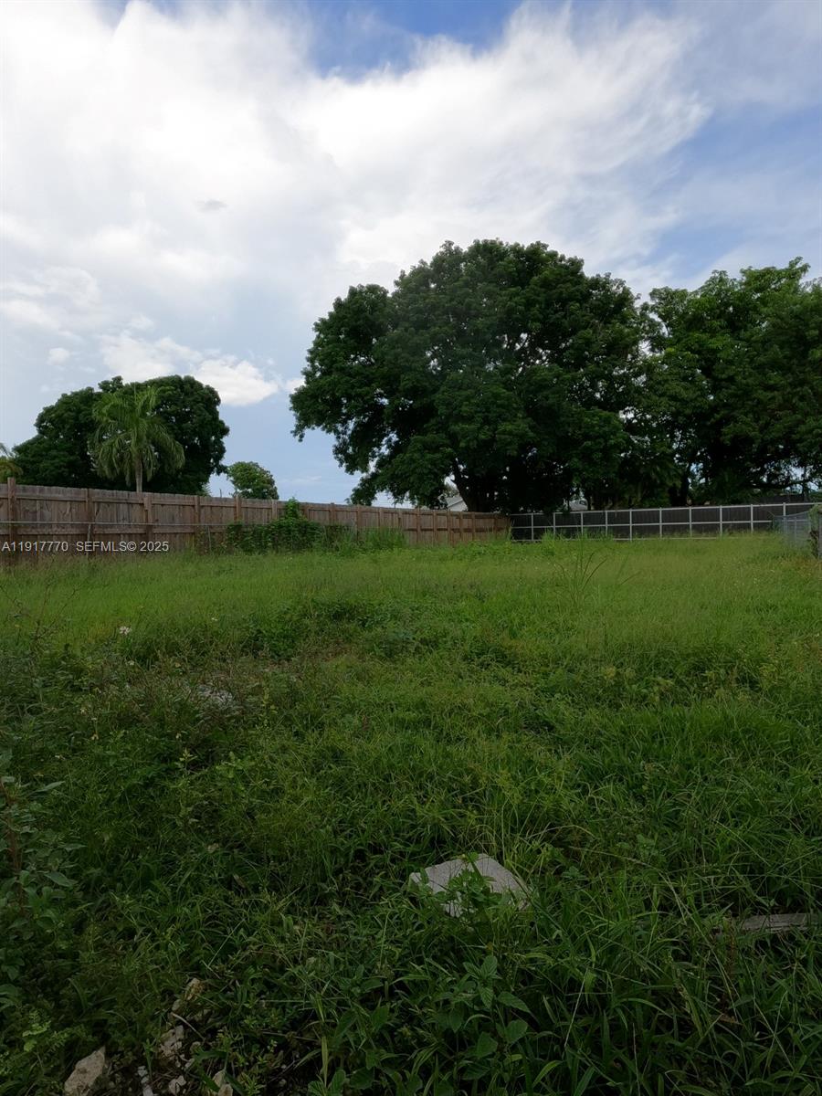 26633 Southwest 138th Court Homestead, FL 33032 - Photo 23 of 58 a view of a big yard with plants and a large tree