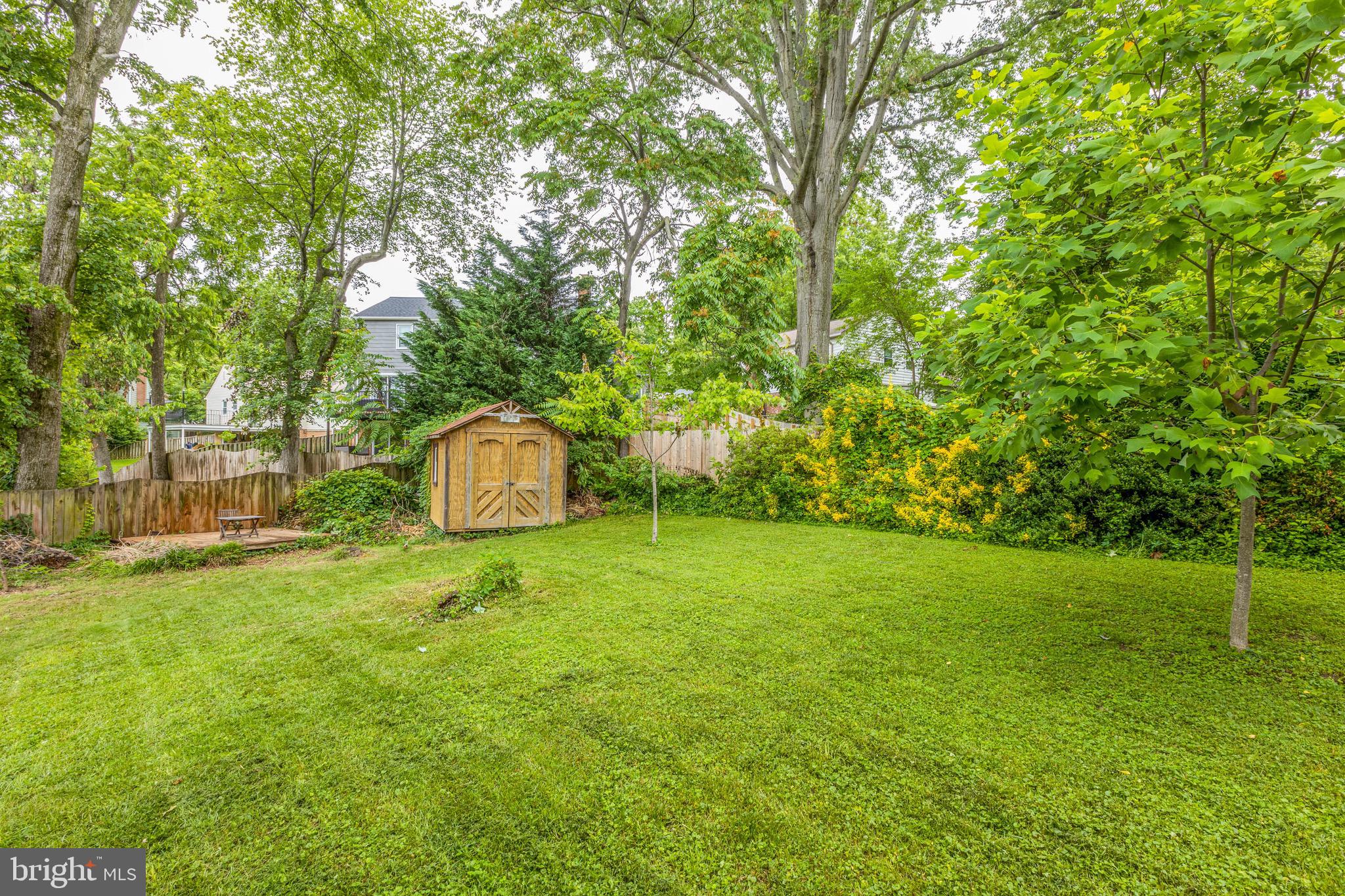3808 Stonebridge Road Alexandria, VA 22306 - Photo 49 of 69