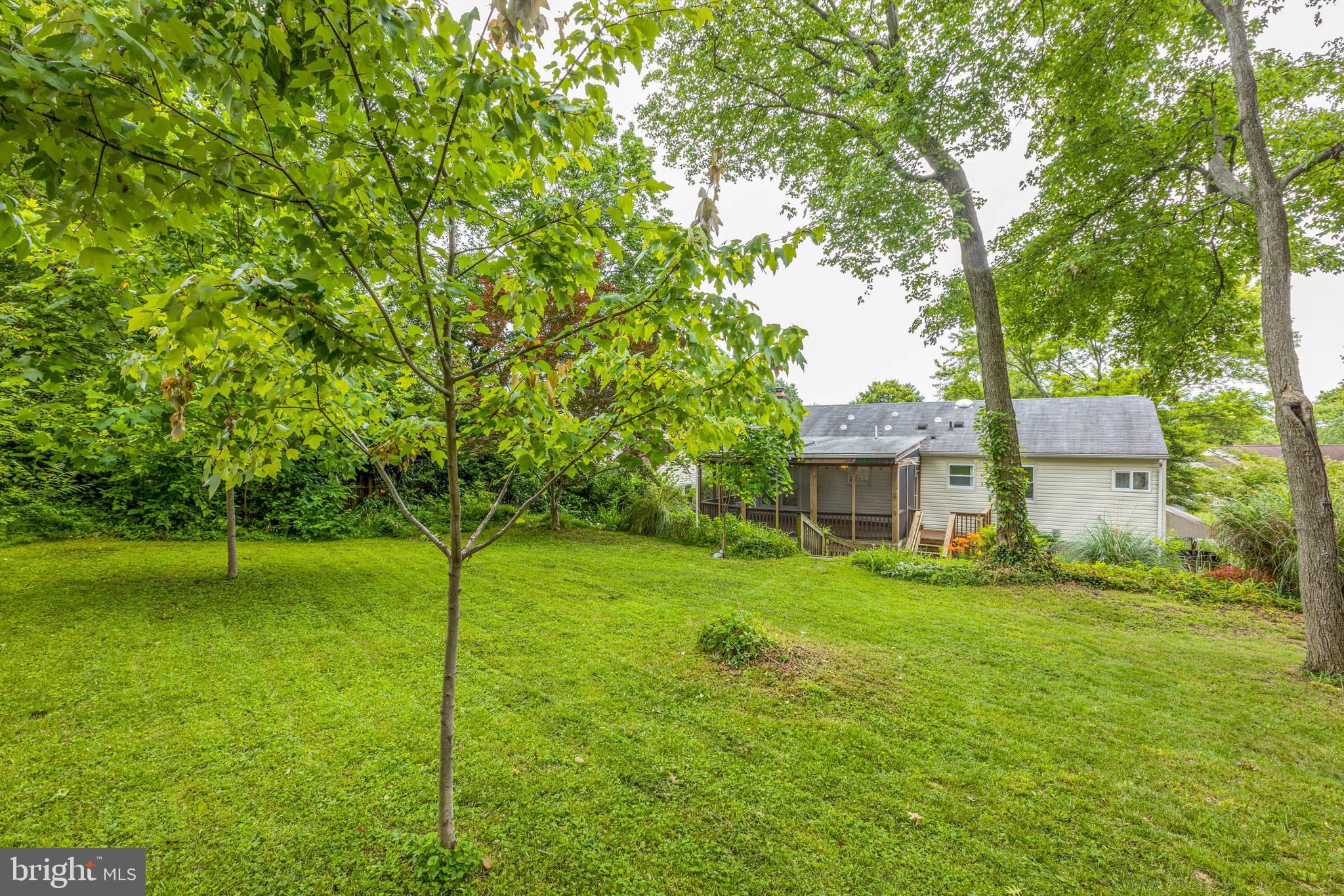 3808 Stonebridge Road Alexandria, VA 22306 - Photo 50 of 69