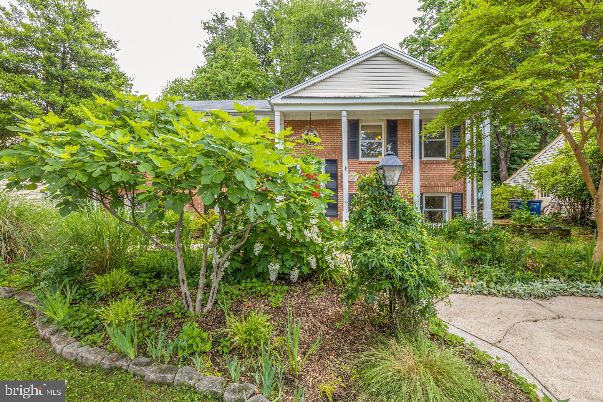 3808 Stonebridge Road Alexandria, VA 22306 - Photo 61 of 69