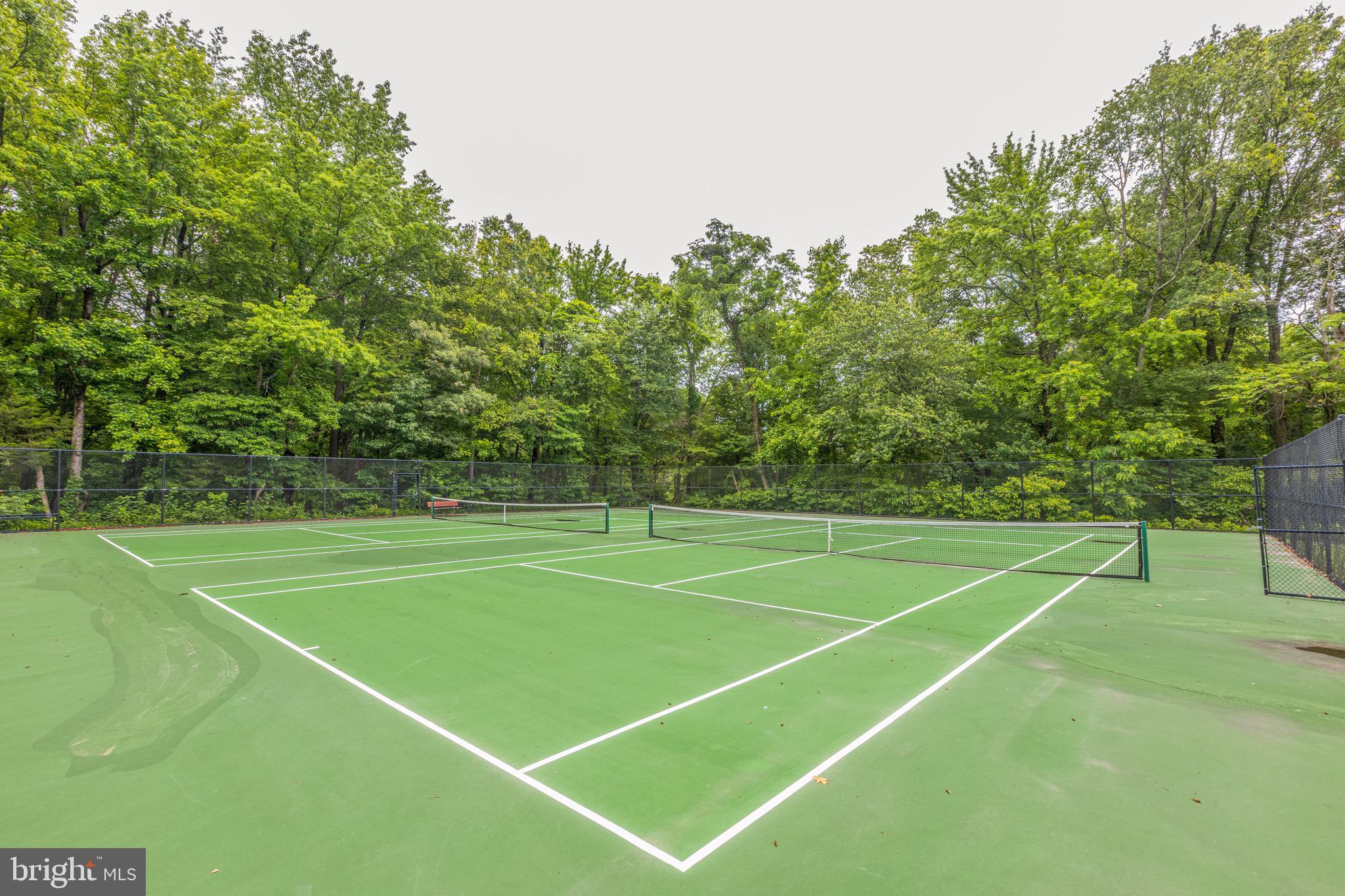 3808 Stonebridge Road Alexandria, VA 22306 - Photo 65 of 69