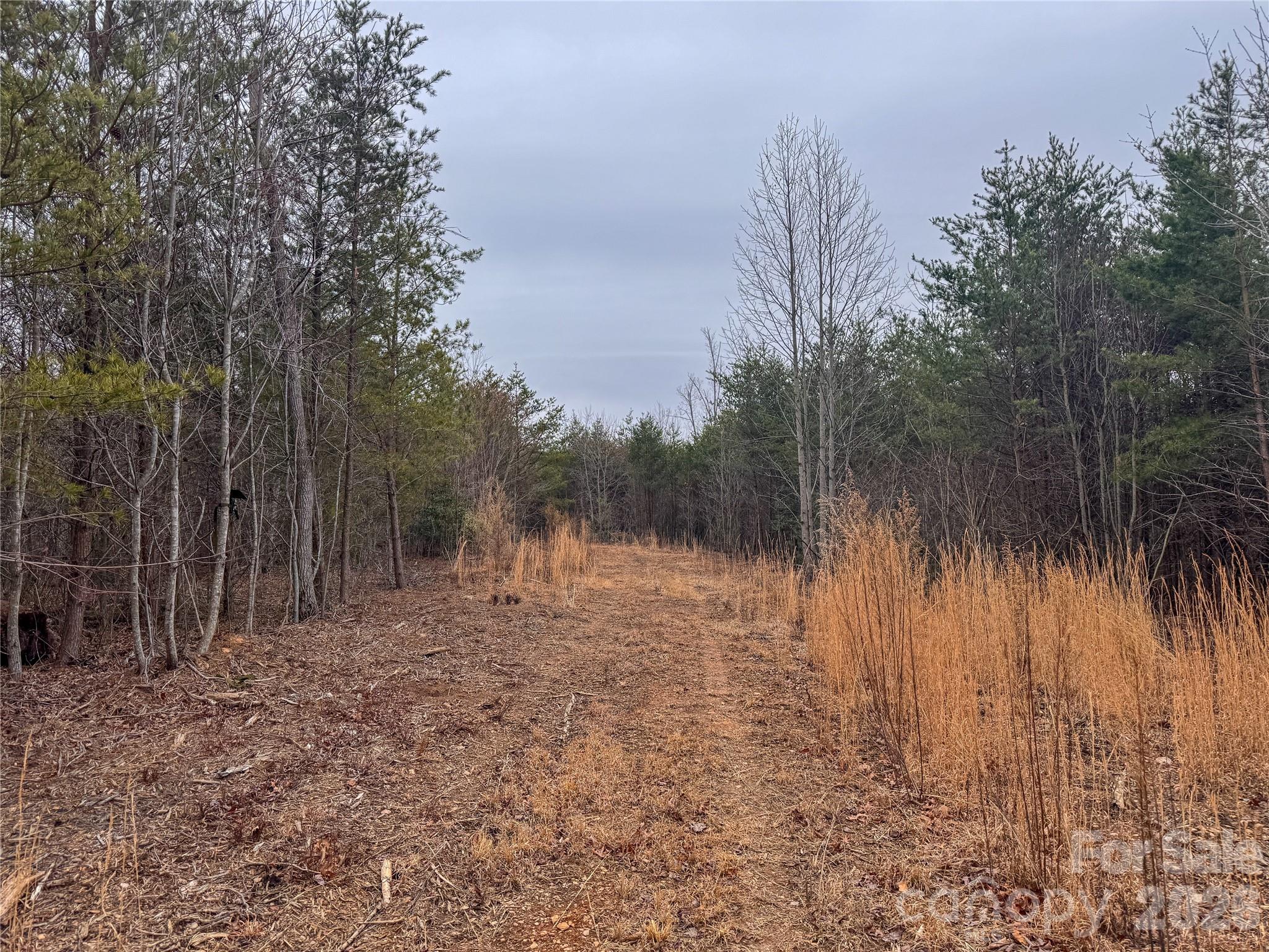 0 Baugess Mill Road Traphill, NC 28685 - Photo 13 of 29
