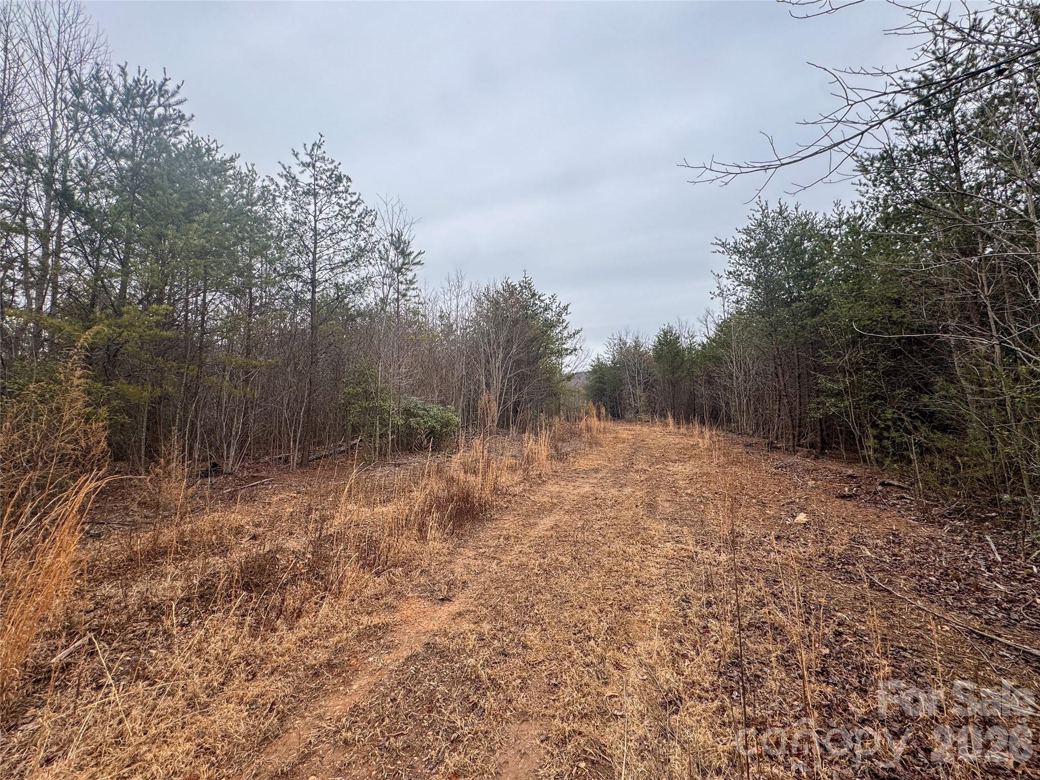 0 Baugess Mill Road Traphill, NC 28685 - Photo 15 of 29