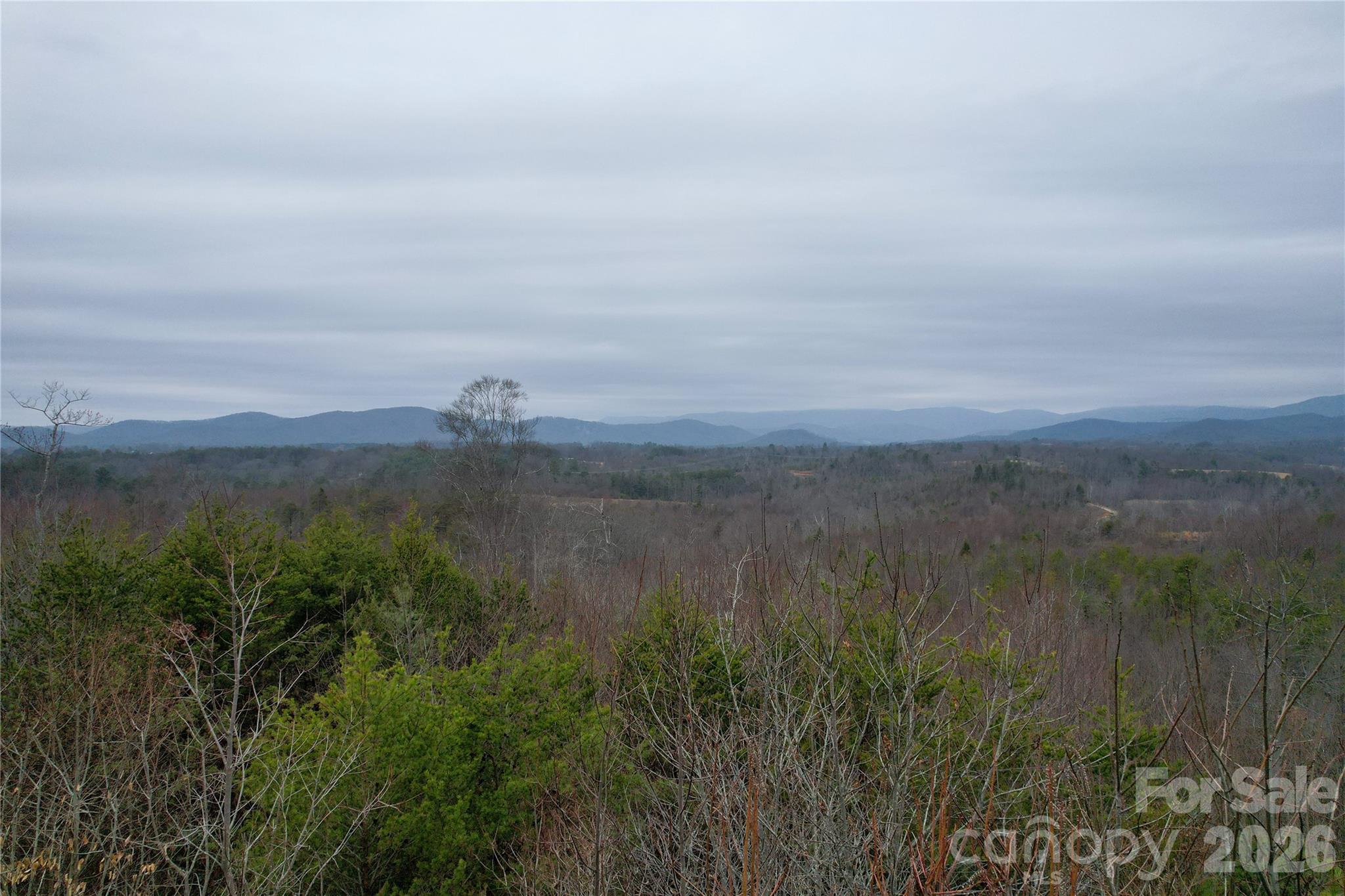 0 Baugess Mill Road Traphill, NC 28685 - Photo 17 of 29