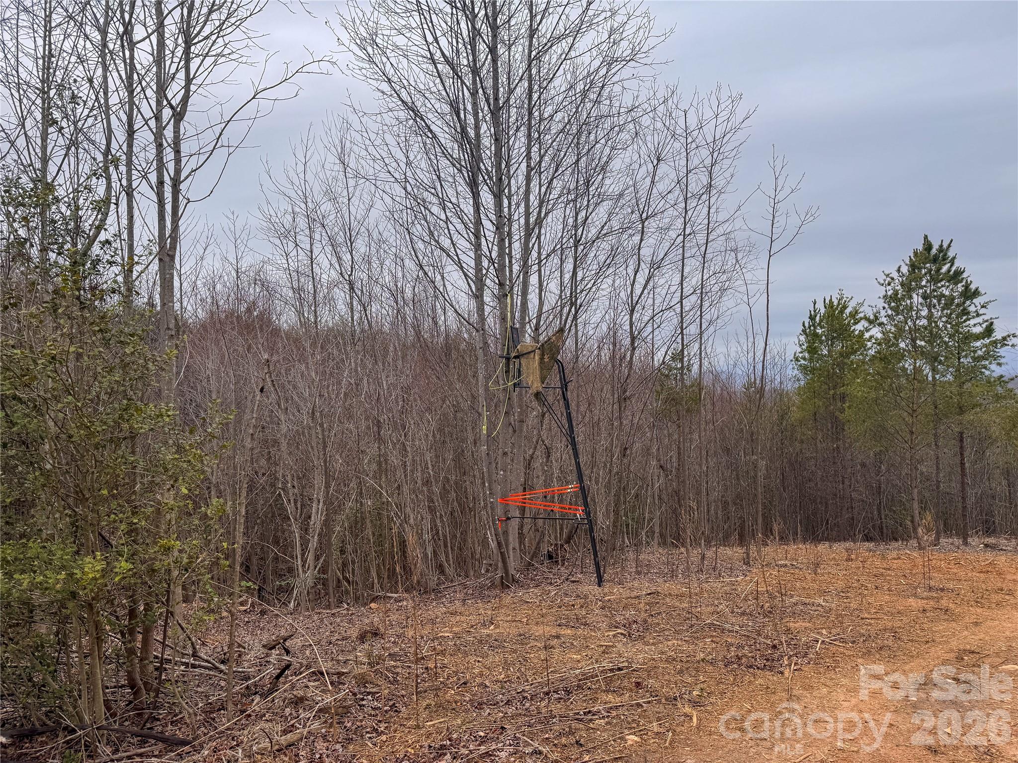 0 Baugess Mill Road Traphill, NC 28685 - Photo 19 of 29