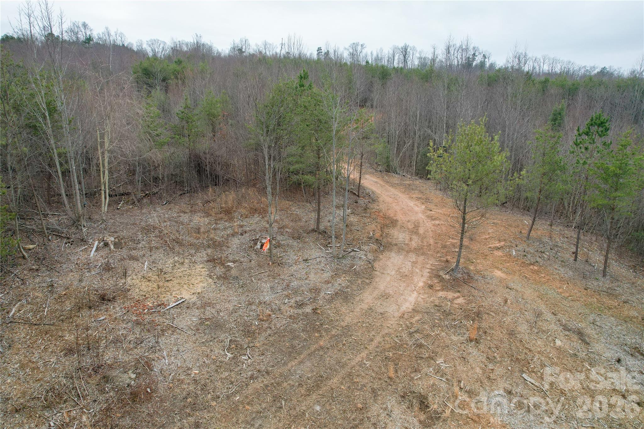 0 Baugess Mill Road Traphill, NC 28685 - Photo 23 of 29