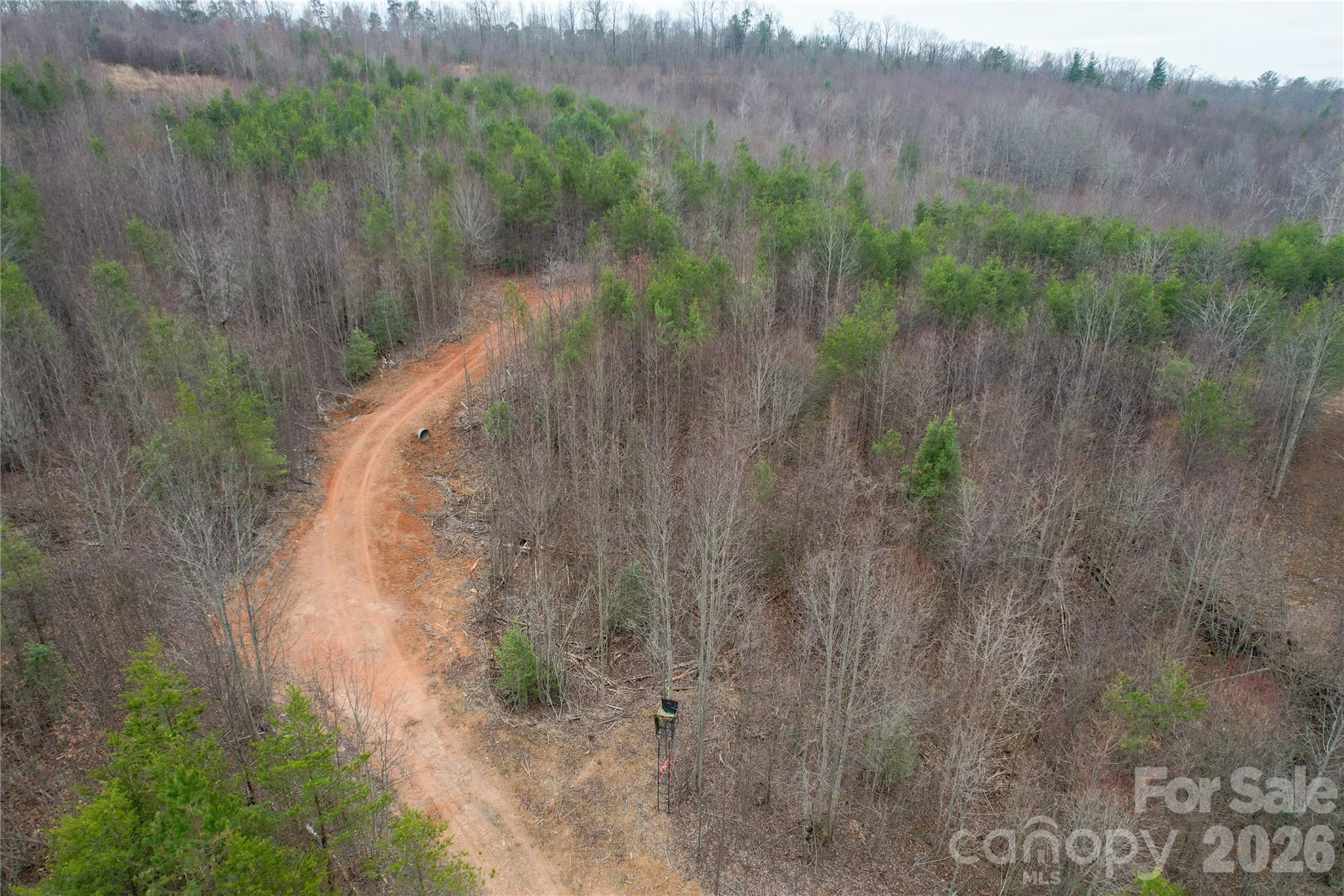 0 Baugess Mill Road Traphill, NC 28685 - Photo 24 of 29