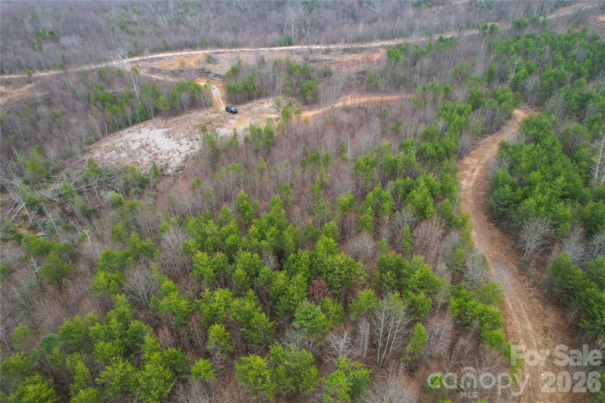 0 Baugess Mill Road Traphill, NC 28685 - Photo 29 of 29