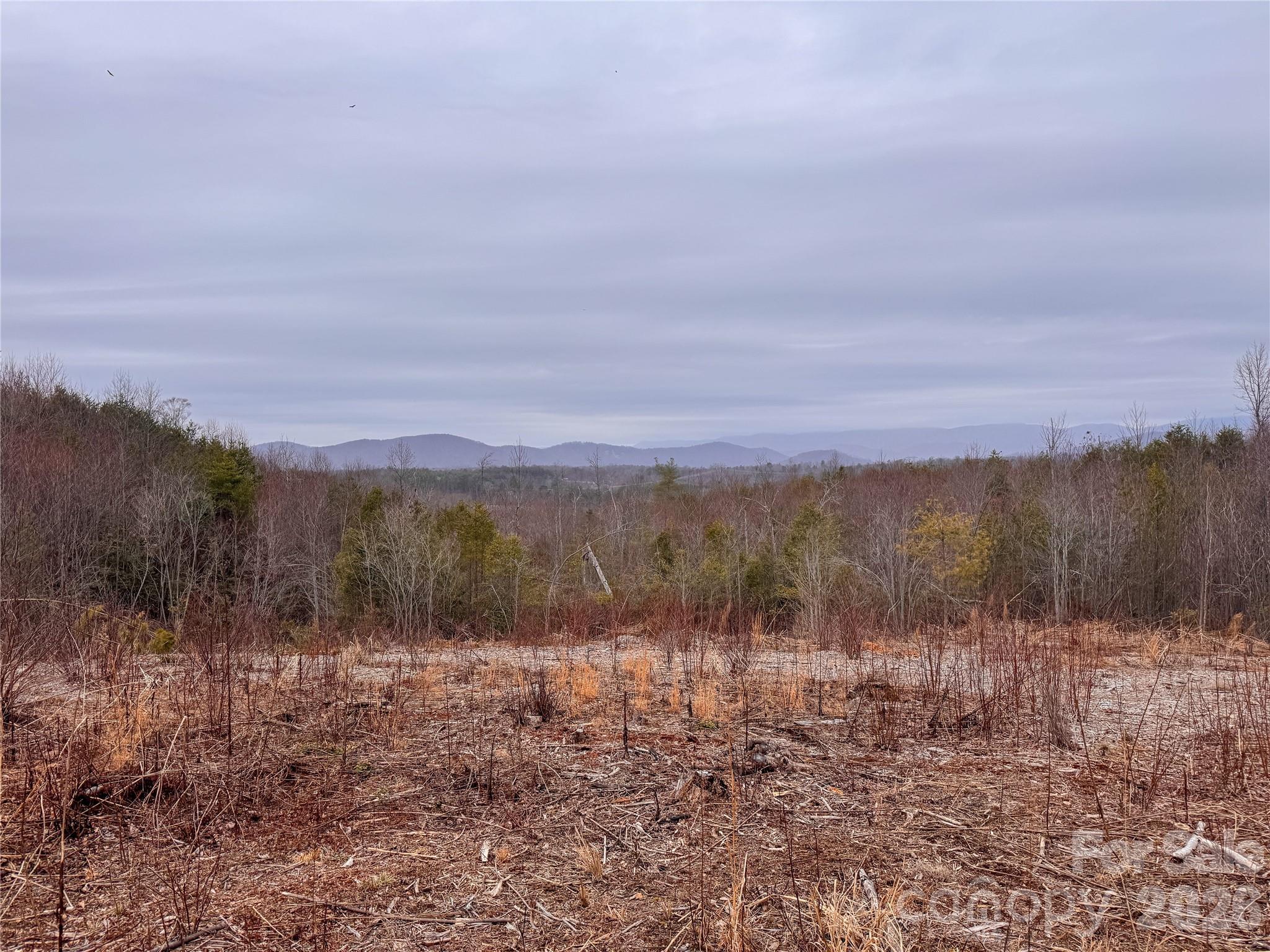 0 Baugess Mill Road Traphill, NC 28685 - Photo 3 of 29