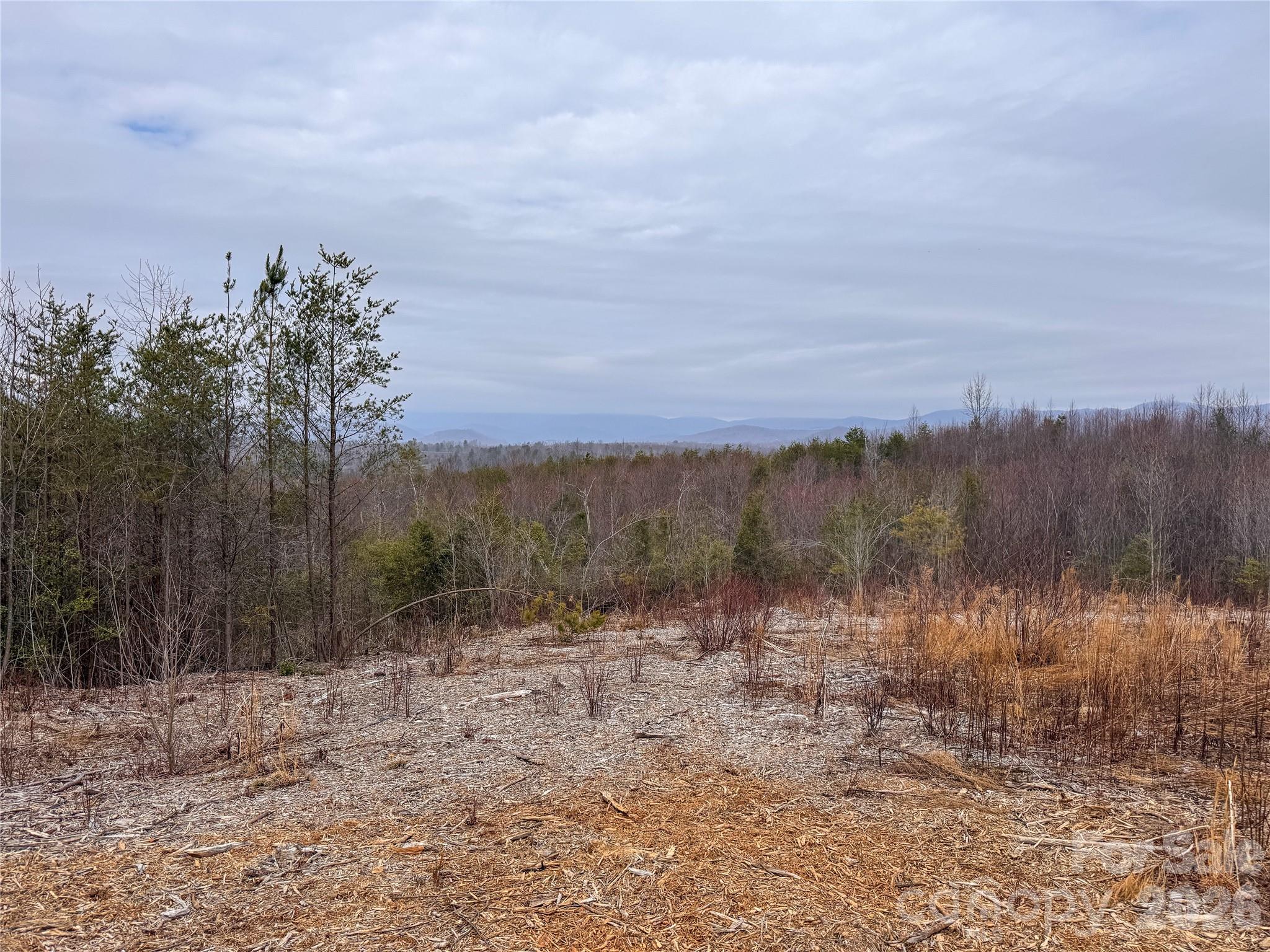 0 Baugess Mill Road Traphill, NC 28685 - Photo 6 of 29