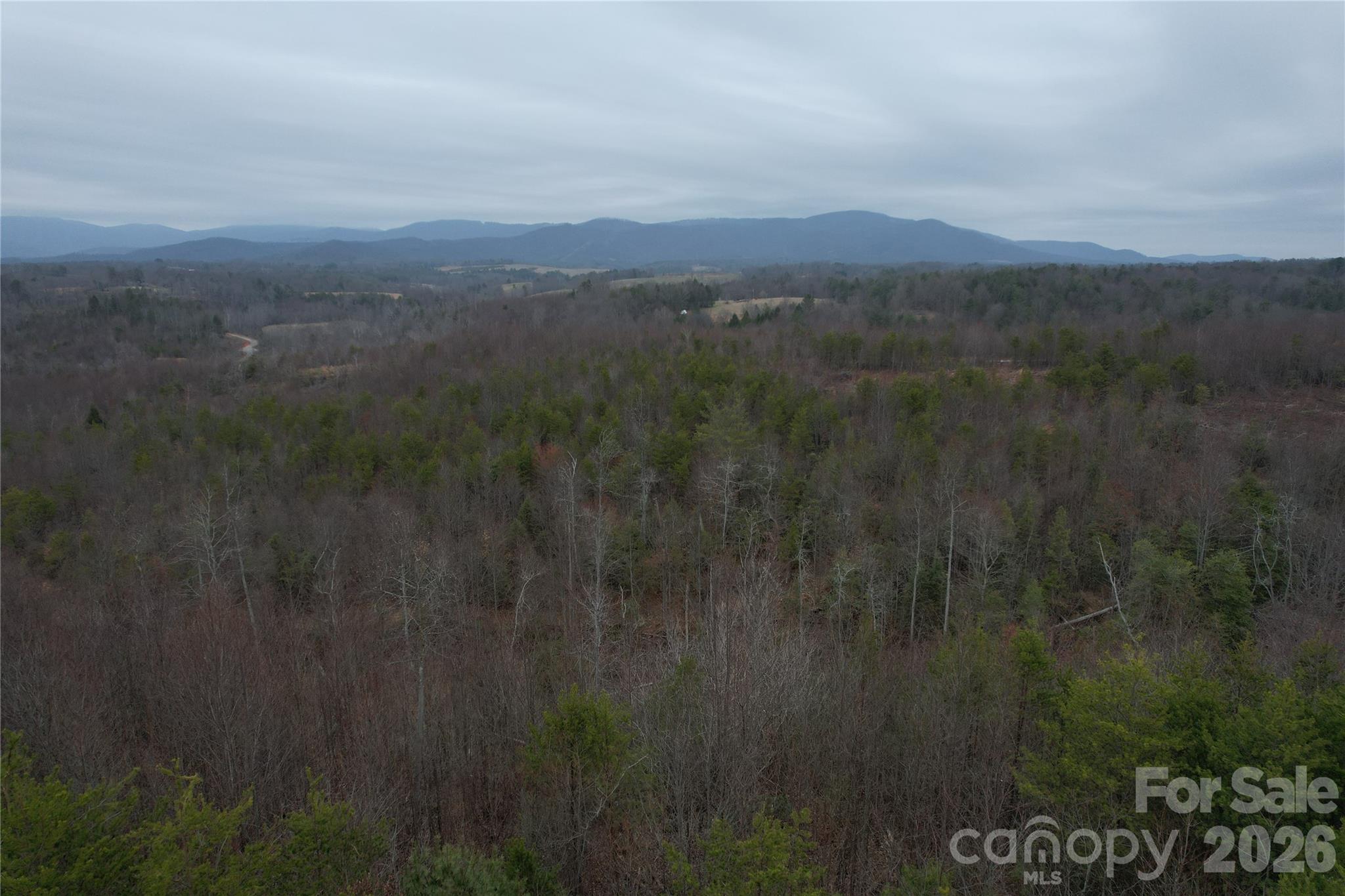 0 Baugess Mill Road Traphill, NC 28685 - Photo 8 of 29