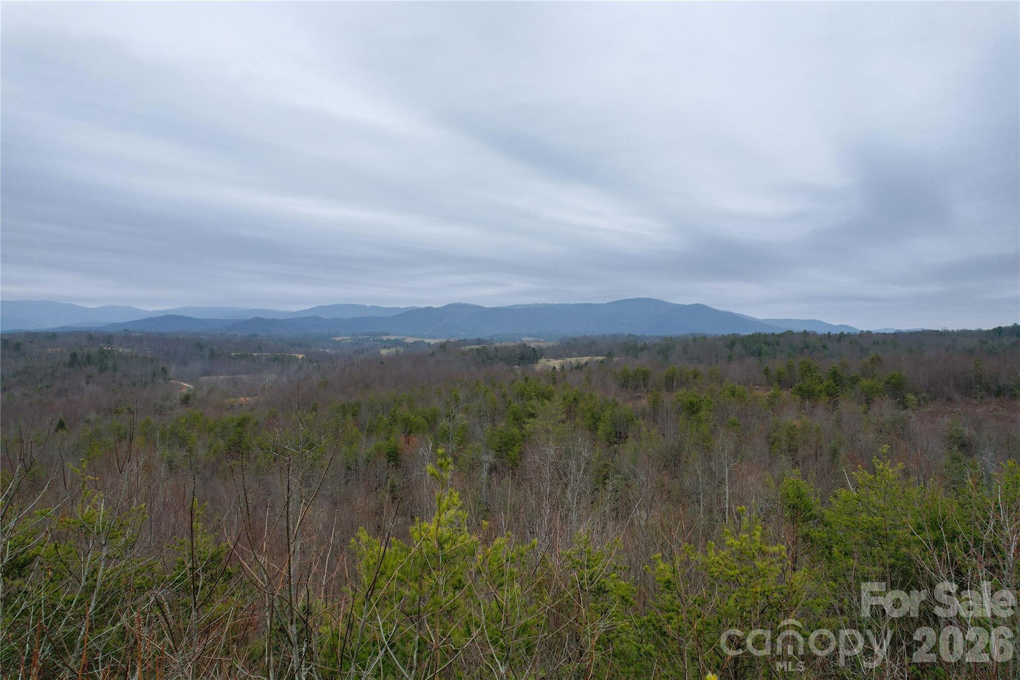 0 Baugess Mill Road Traphill, NC 28685 - Photo 9 of 29