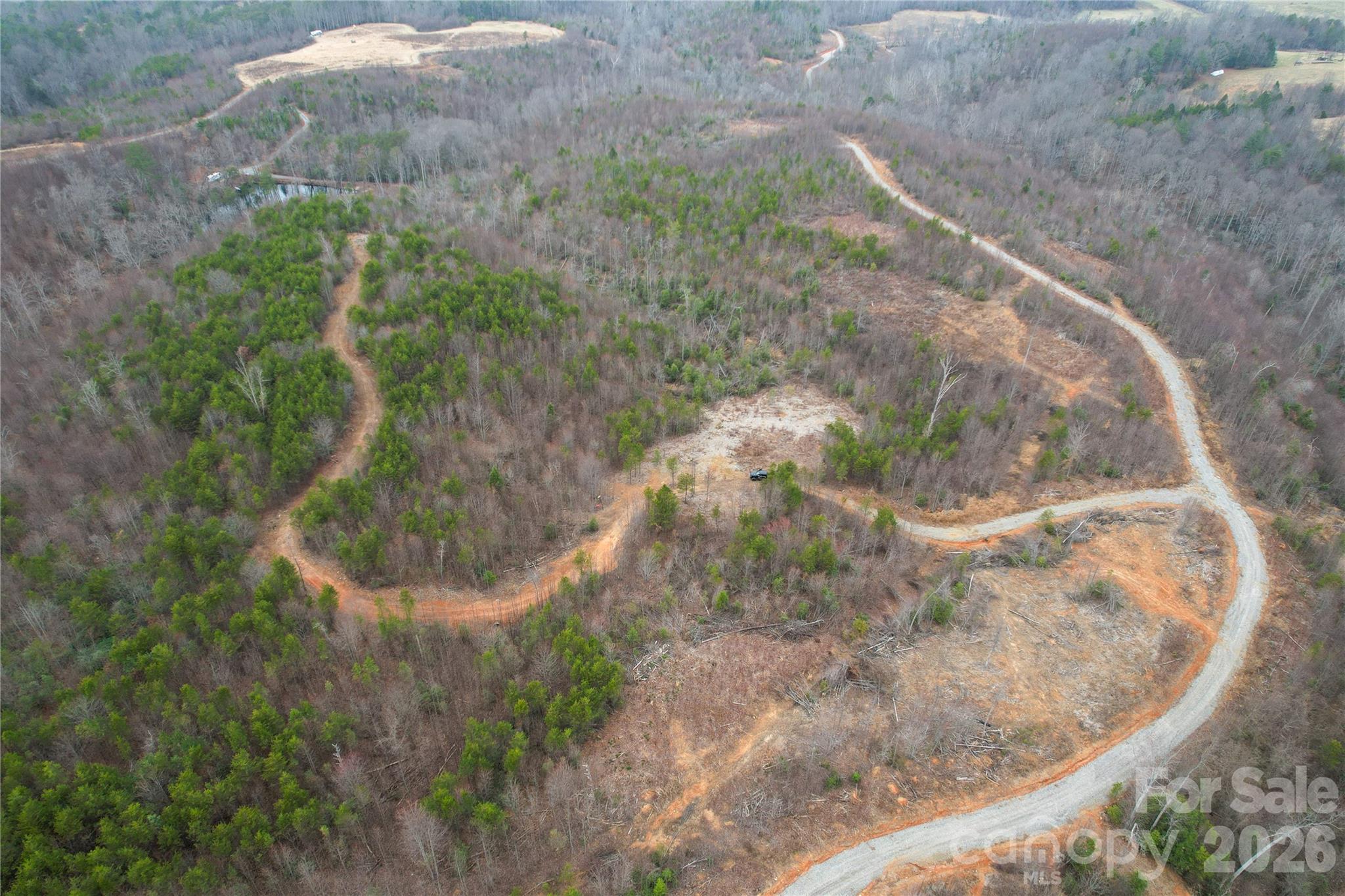 0 Baugess Mill Road Traphill, NC 28685 - Photo 10 of 29