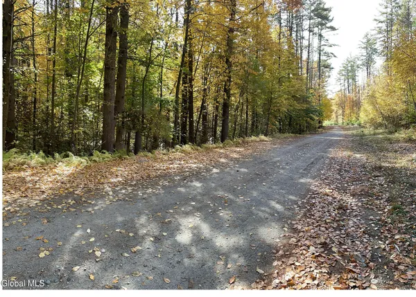 $57,500 | 37 Blue Bay Road, Unit LAKEVIEW PT LOT 40, Chester, NY 12817