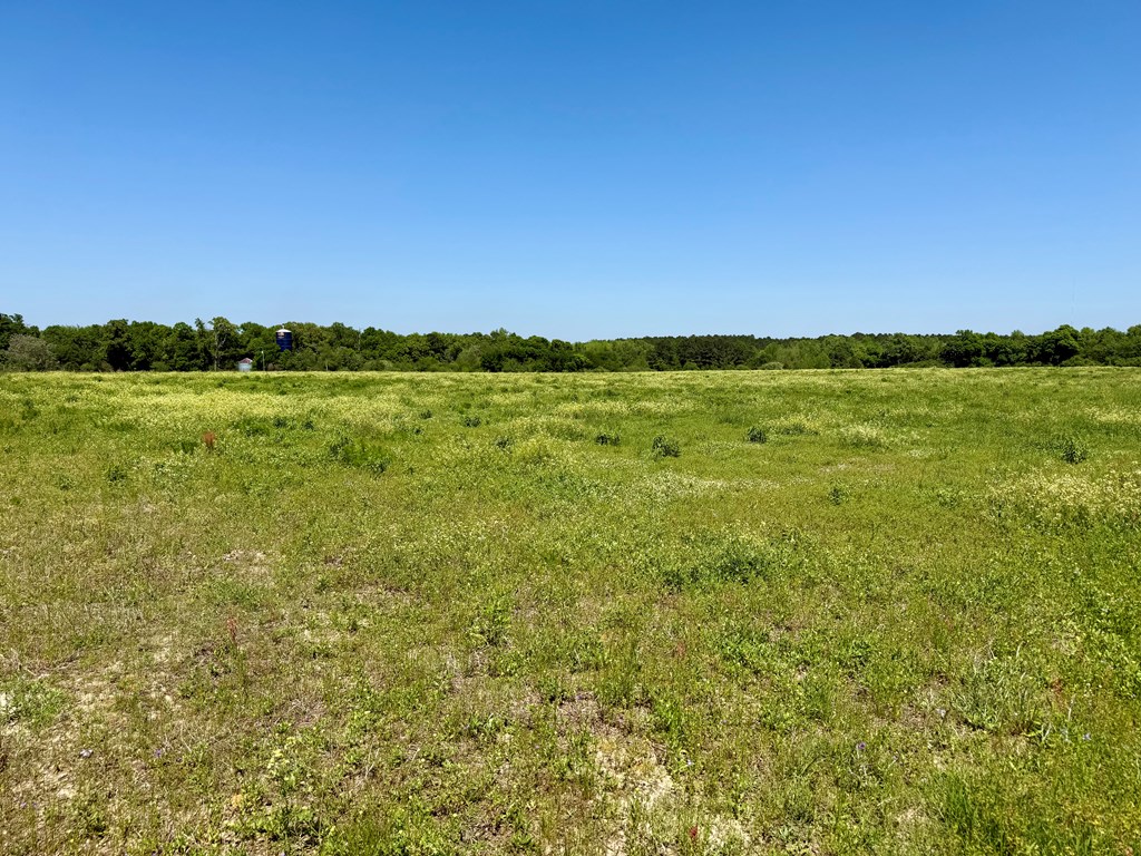 11.25-acres Huskey Road Dothan, AL 36303 - Photo 9 of 13