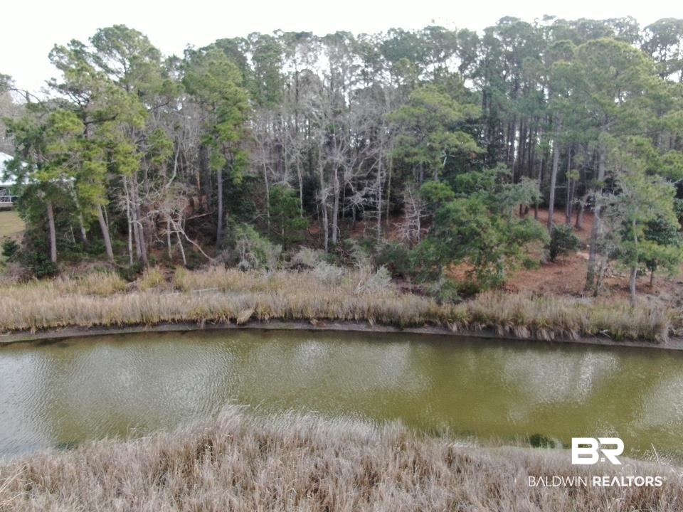Riverview Nursery Road Theodore, AL 36582 - Photo 5 of 24