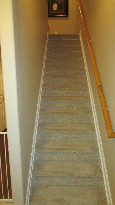 3836 Pine Ridge Way Lexington, KY 40514 - Photo 12 of 23 Photo 12