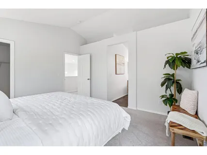 a bedroom with a bed and a plant