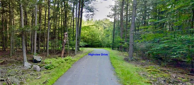 $24,500 | 0 Orange Avenue, Smallwood, NY 12778