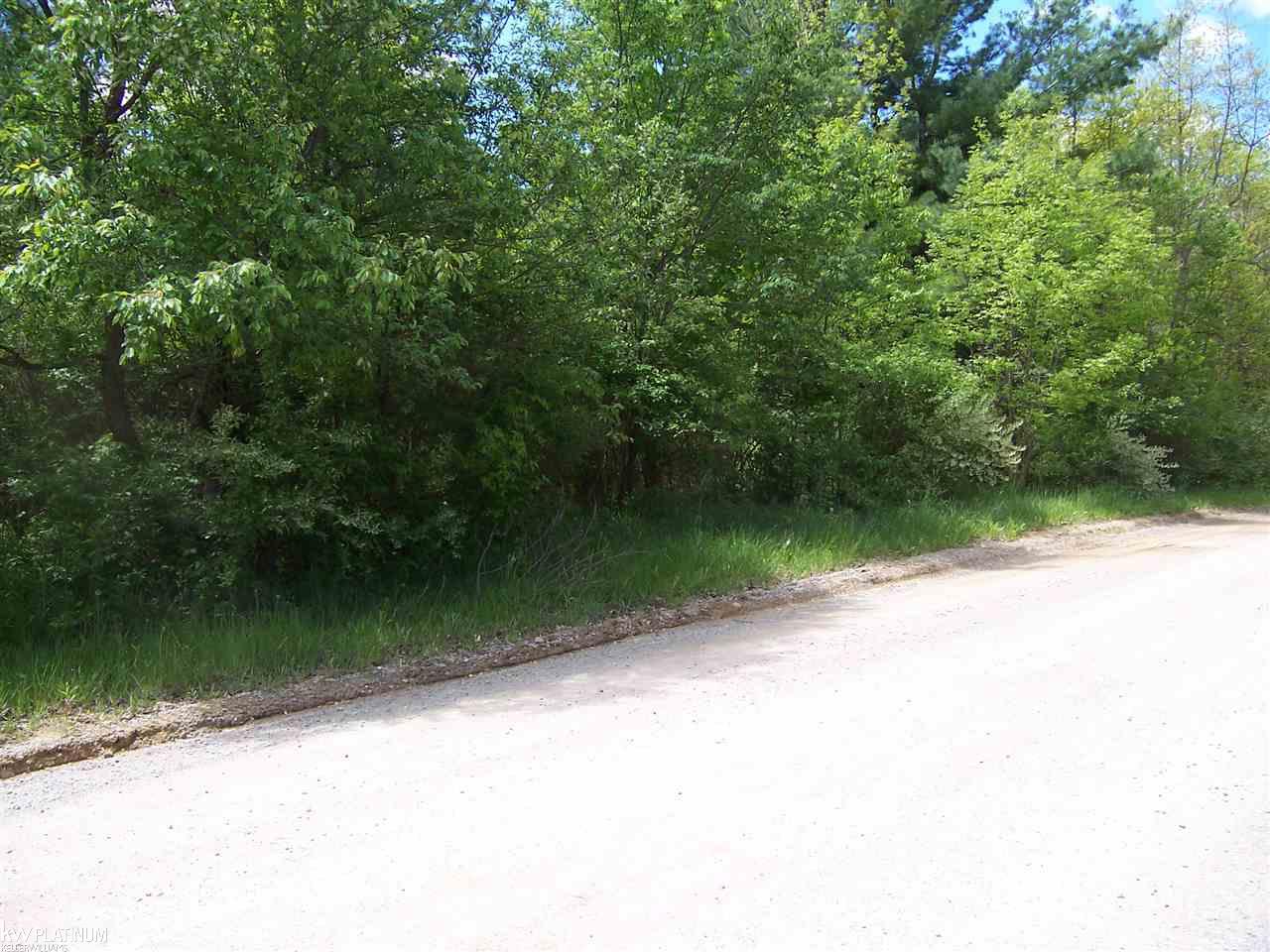 Lot D Lot D Lashbrook Road Goodells, MI 48027 - Photo 2 of 2