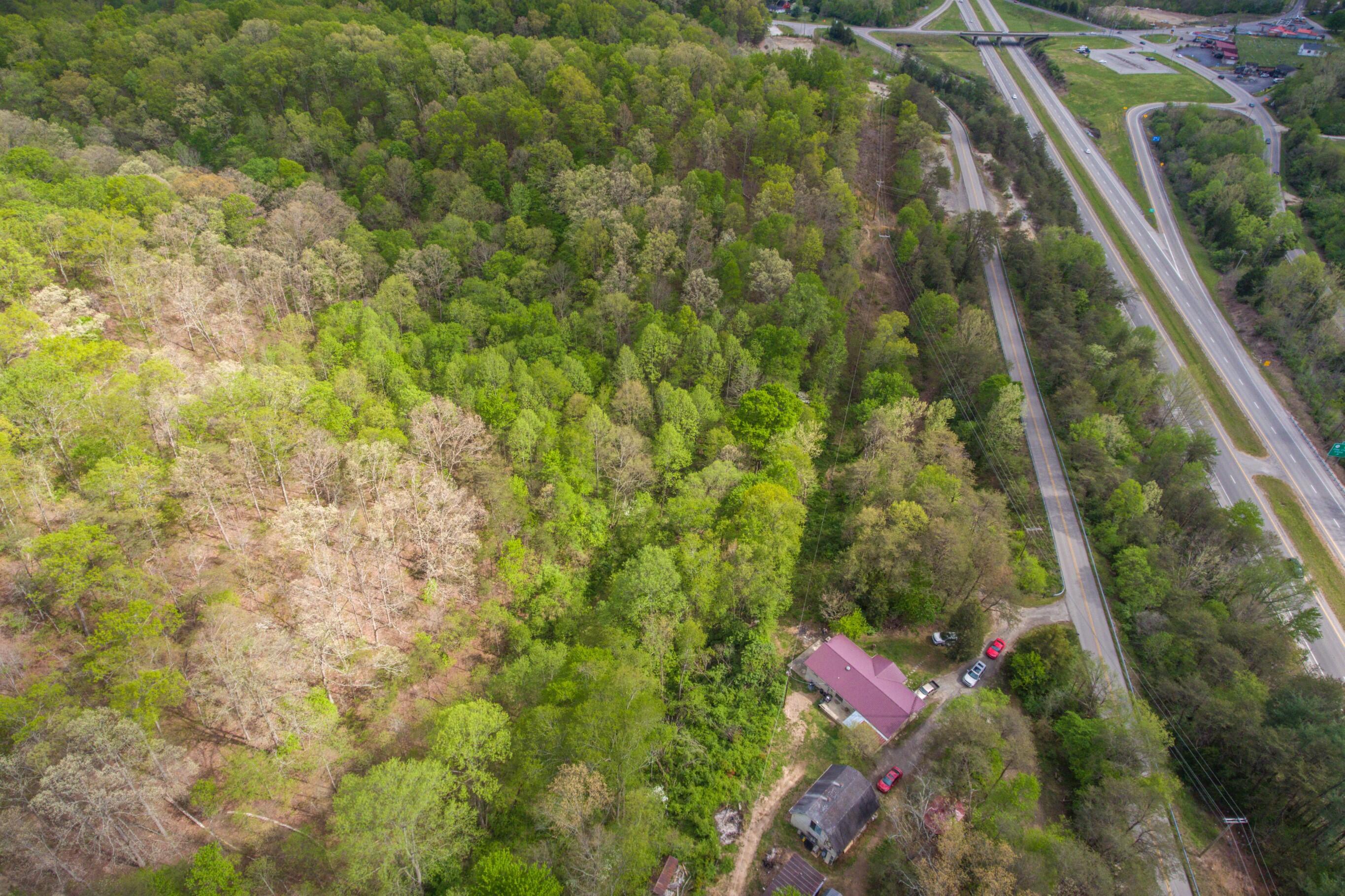 398 Lofty Heights Road Clay City, KY 40312 - Photo 24 of 31 Photo 8 (Custom)