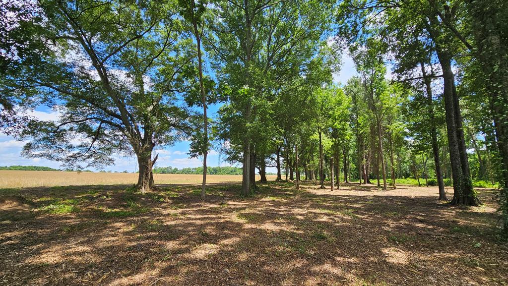 92 County Road 92 Slocomb, AL 36375 - Photo 52 of 58