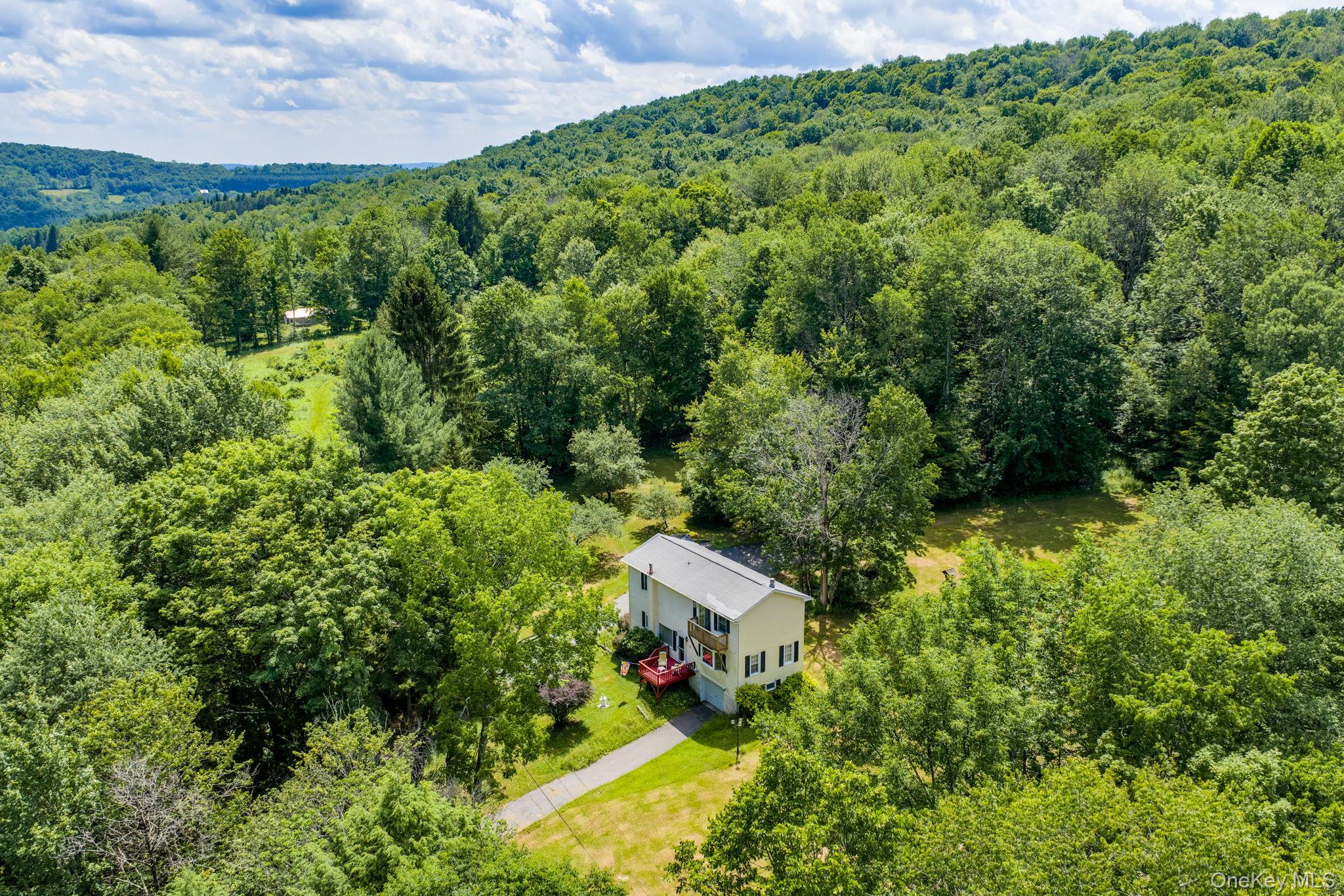10 Hoffman Road Hankins, NY 12741 - Photo 5 of 46 Aerial of house, fruit trees and wooded acreage