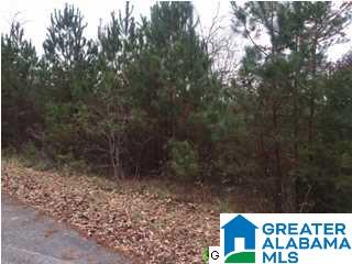 Laurelwood Road, Unit 6 Arley, AL 35541 - Photo 8 of 10