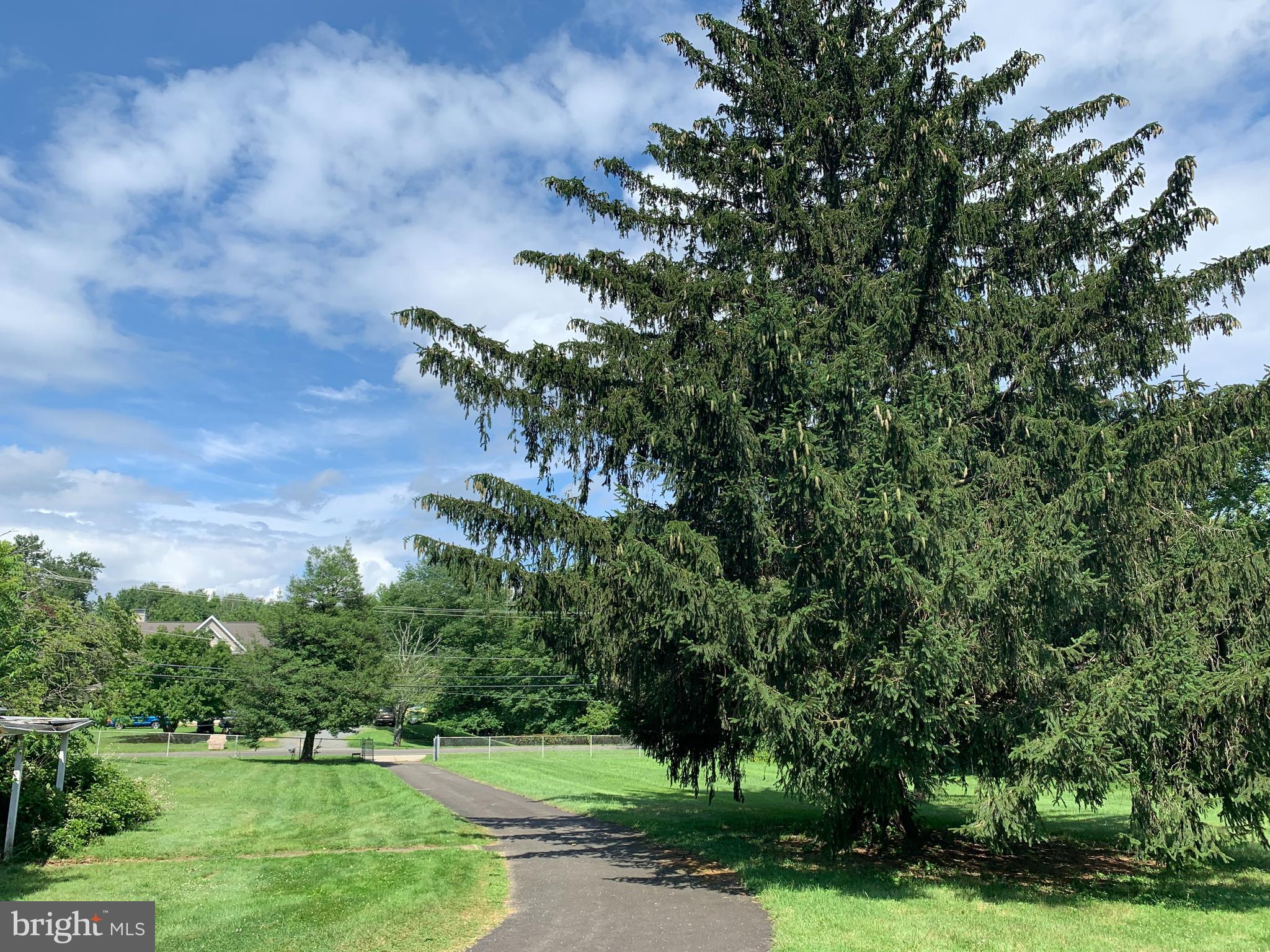 303 Meadowbrook Road Robbinsville, NJ 08691 - Photo 11 of 24 a view of a park with large trees
