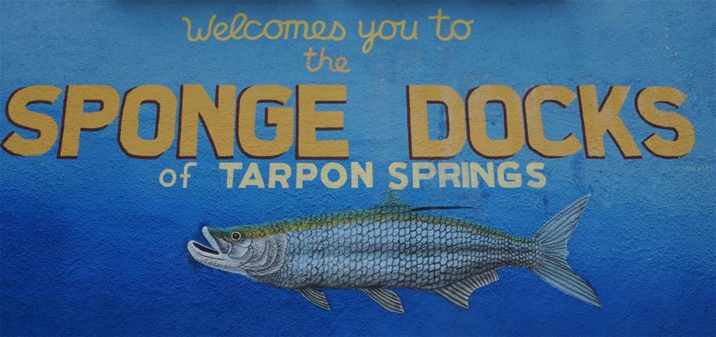 1020 Bowsprit Lane, Unit X Holiday, FL 34691 - Photo 33 of 45