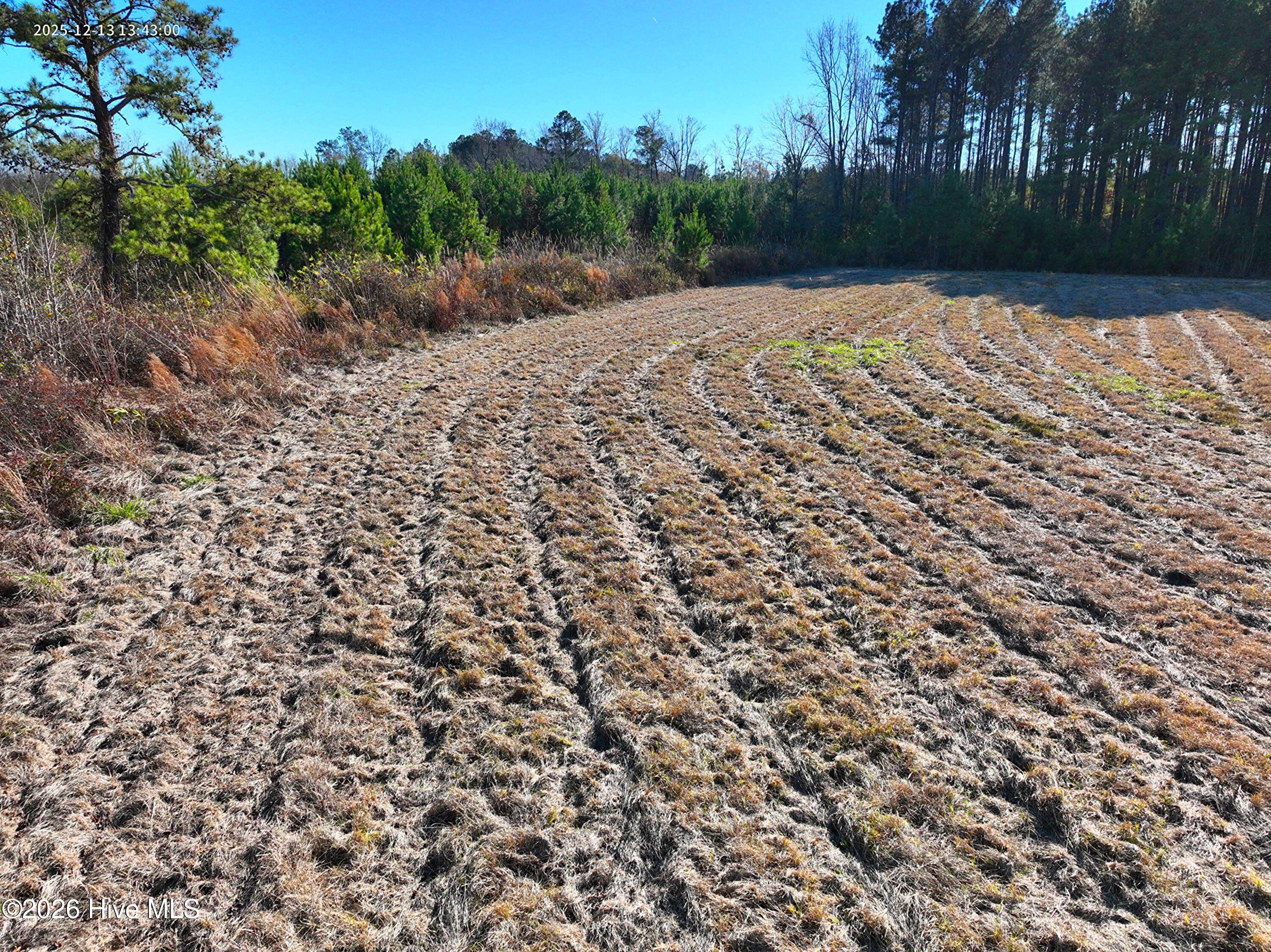 15.63 Croomsbridge Road Burgaw, NC 28425 - Photo 9 of 13 Copy of DJI_20251213134300_0025_V