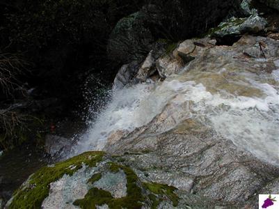 44252 Trabuco Road Coarsegold, CA 93614 - Photo 6 of 7 above the waterfall