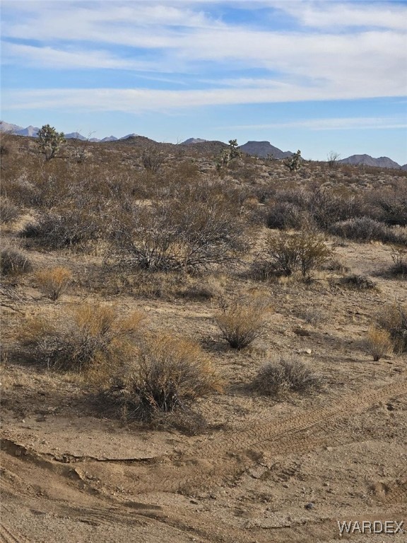Lot 12 South Roll Road Yucca, AZ 86438 - Photo 3 of 13 View