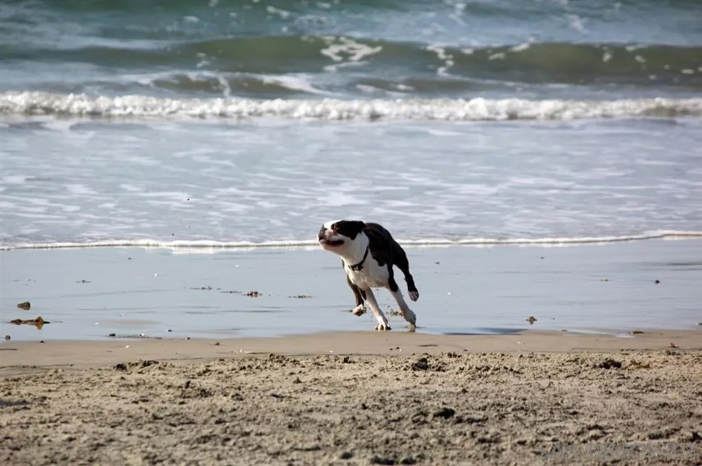 323 Shoemaker Lane Solana Beach, CA 92075 - Photo 25 of 25 a view of ocean view