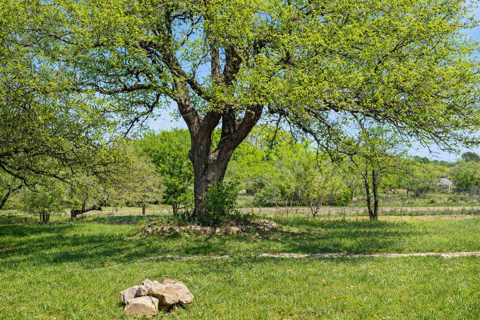 3410 West Ranch Road 152 Llano, TX 78643 - Photo 31 of 36 a view of a lush green space