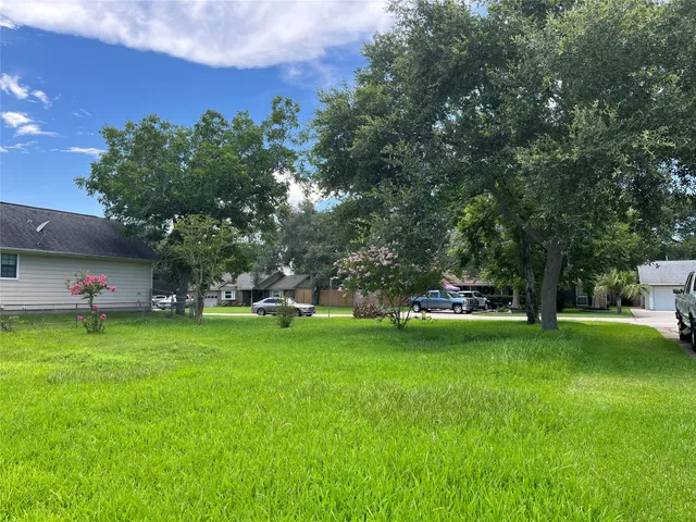 a view of a park with large trees