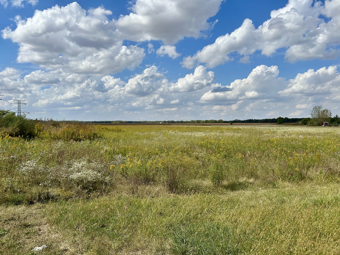 a view of an ocean and beach