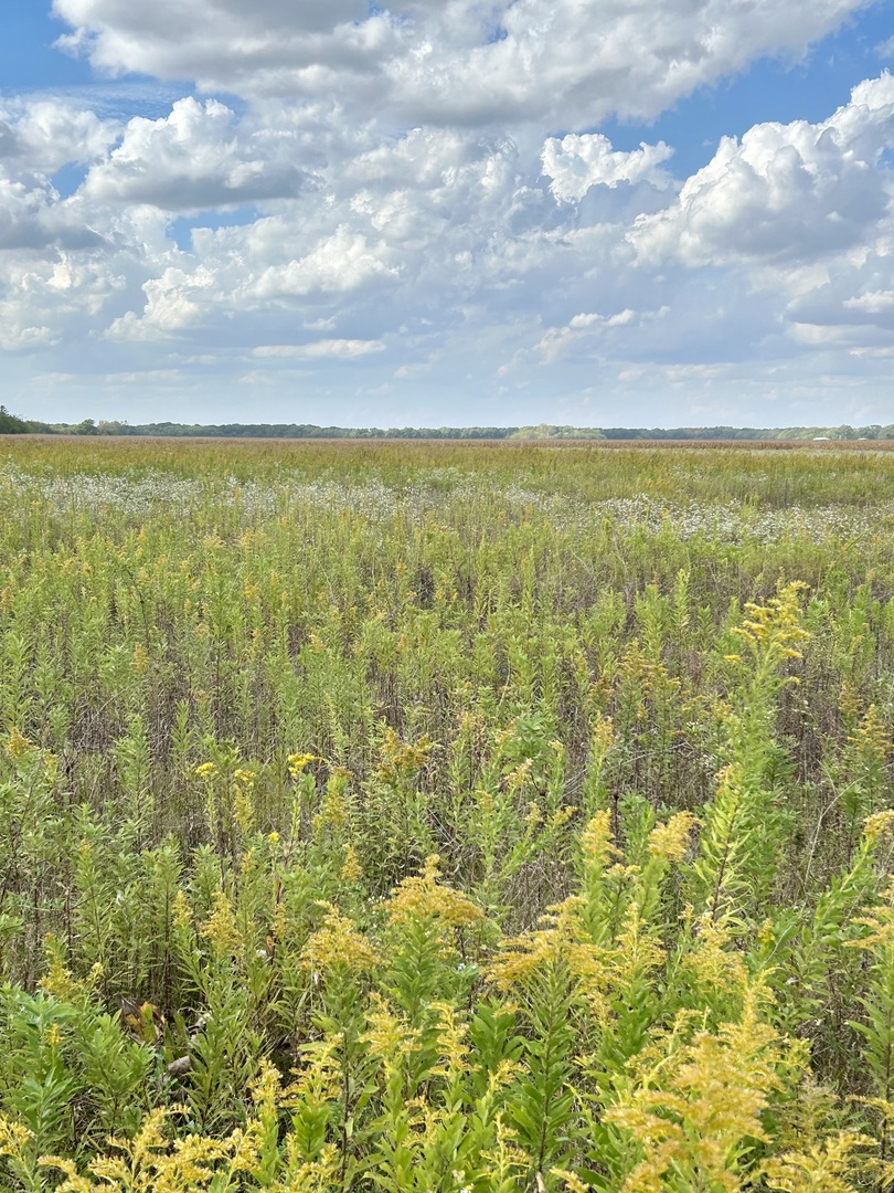 1065 North Gorman Road Morris, IL 60450 - Photo 3 of 3 a view of an ocean