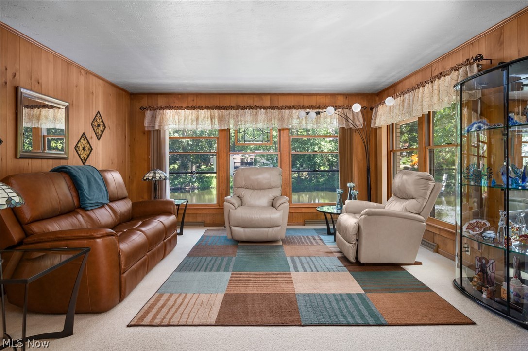 685 Sunnyside Road Vermilion, OH 44089 - Photo 5 of 50 Living area featuring abundant natural light, wood-paneled walls, and carpet flooring